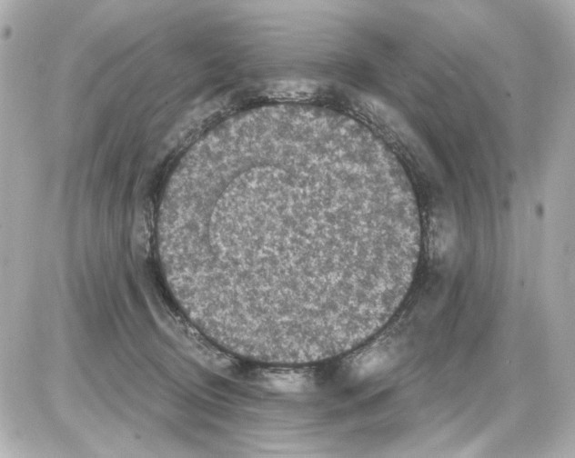 X0000085320370200704092355