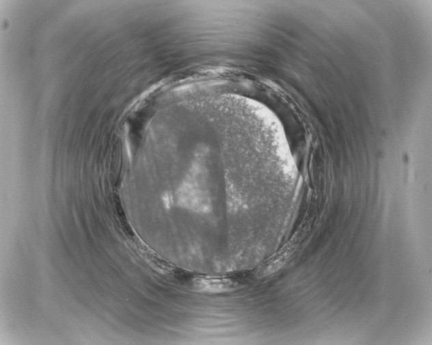X0000085320372200704092355