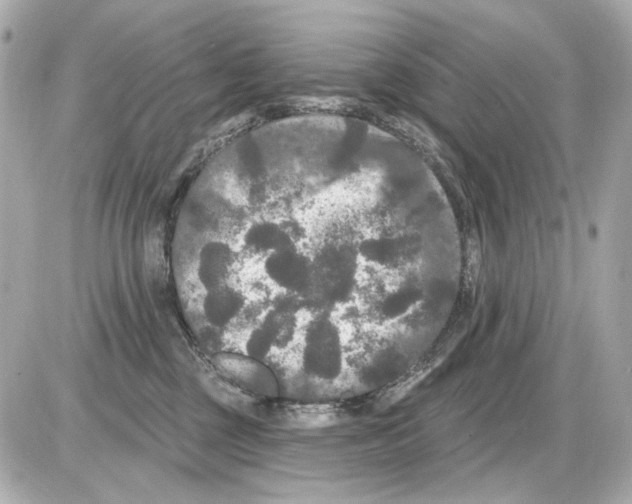 X0000085320377200704092355