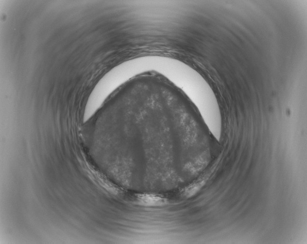 X0000085320380200704092355