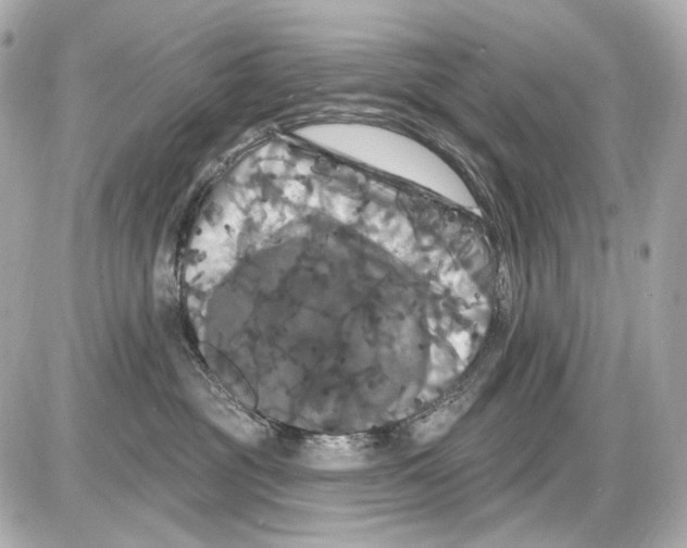 X0000085320381200704092355