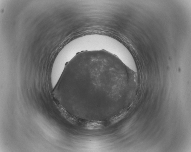 X0000085320382200704092355