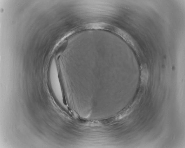 X0000085320386200704092354