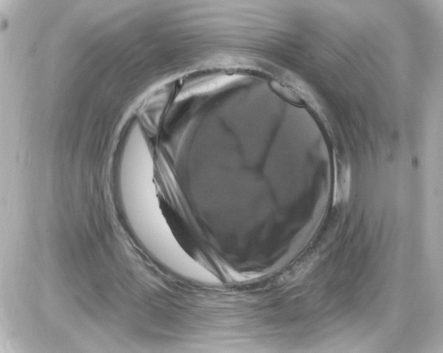 X0000085320387200704092354