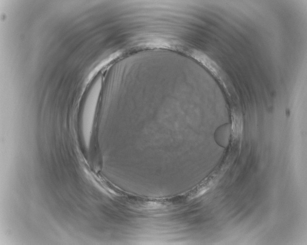X0000085320390200704092354