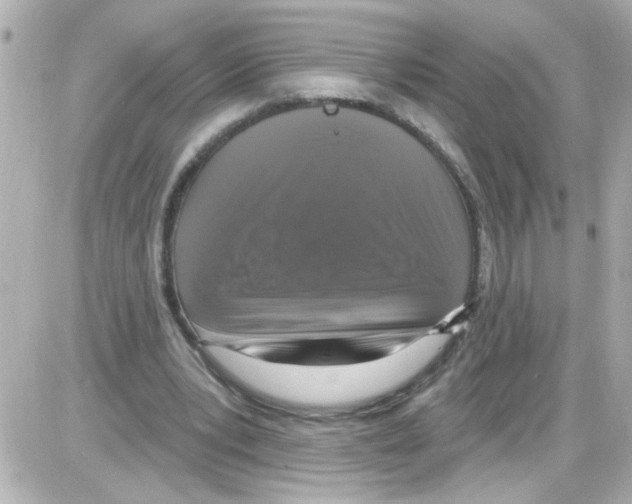 X0000085320391200704092354