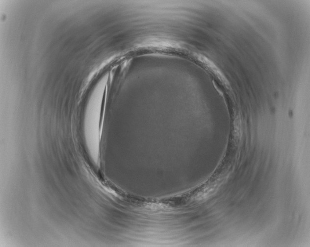 X0000085320399200704092354