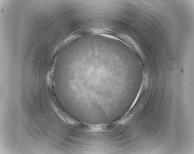 X0000085320405200704092354