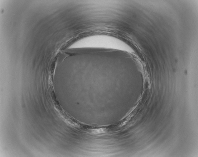 X0000085320411200704092354
