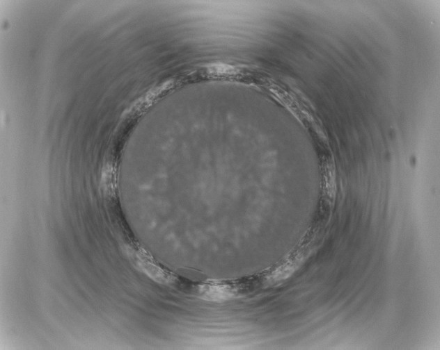 X0000085320419200704092353