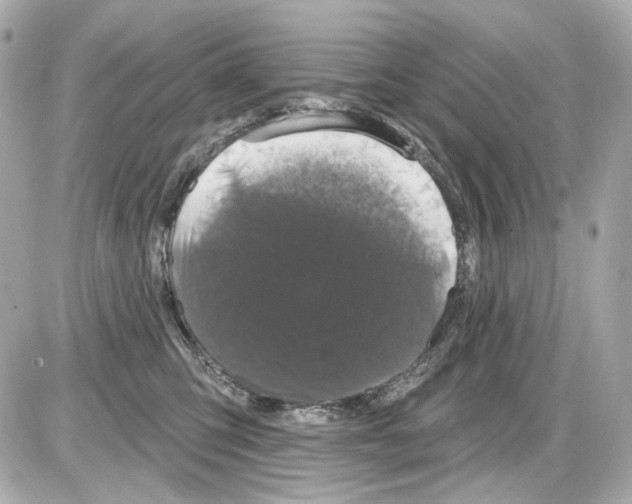X0000085320423200704092353