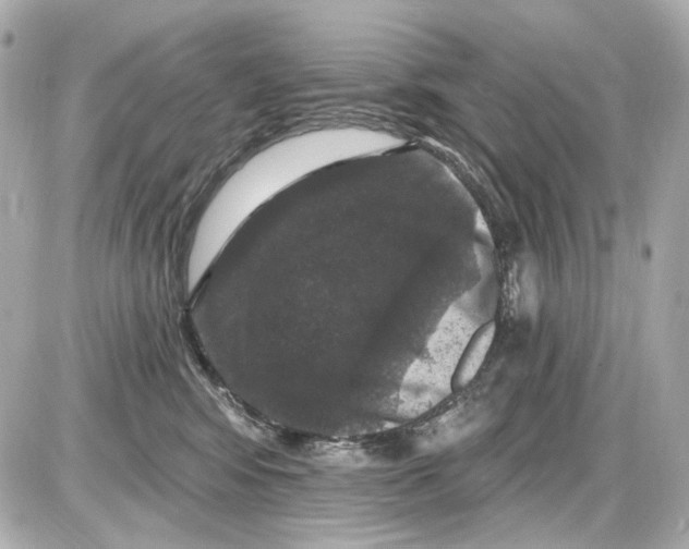 X0000085320424200704092353