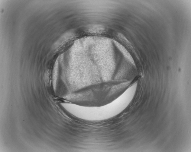 X0000085320428200704092353