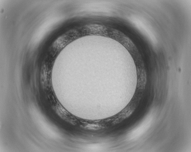 X0000085320430200704092353