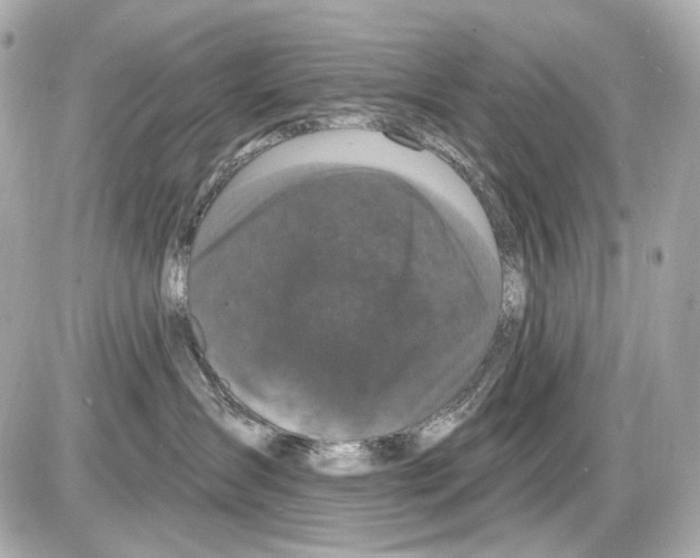 X0000085320431200704092353