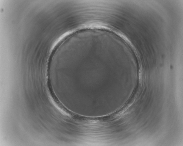X0000085320438200704092353