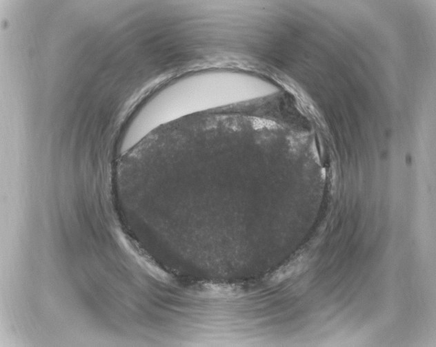 X0000085320442200704092353