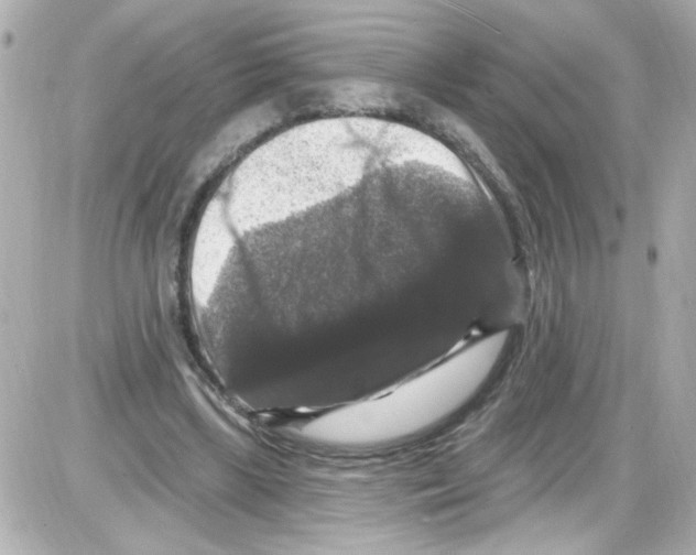 X0000085320443200704092353