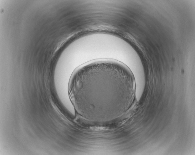 X0000085320448200704092353