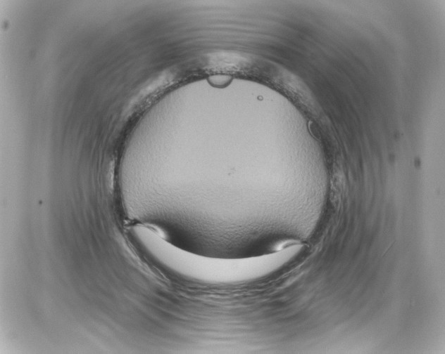 X0000085320454200704092353