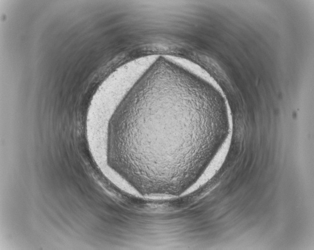 X0000085320457200704092353