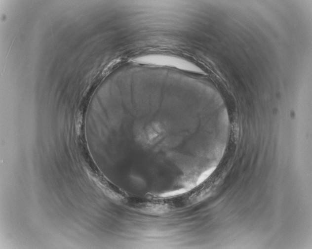 X0000085320458200704092353