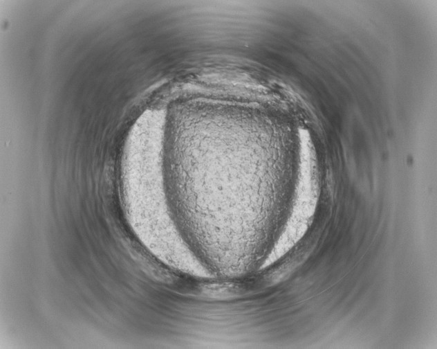 X0000085320461200704092353