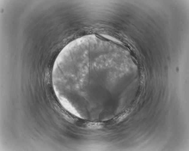 X0000085320465200704092353