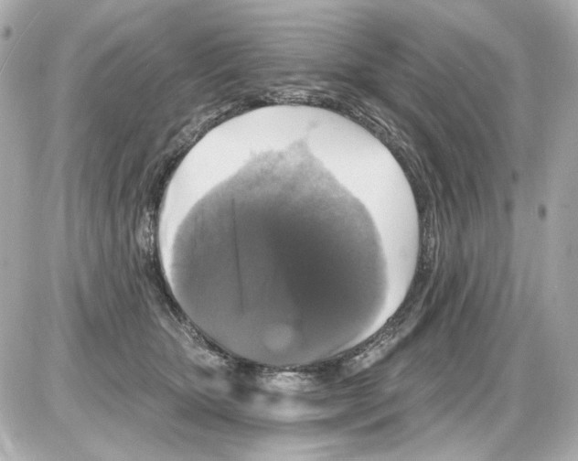 X0000085320467200704092353