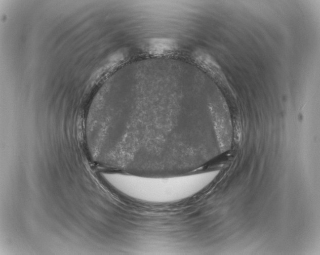 X0000085320470200704092353