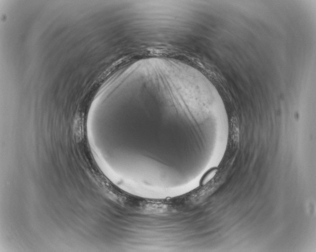 X0000085320471200704092353