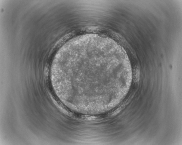 X0000085320472200704092353