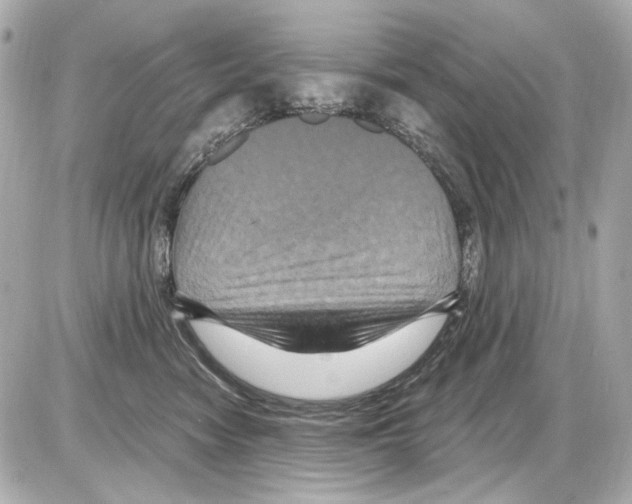 X0000085320474200704092353