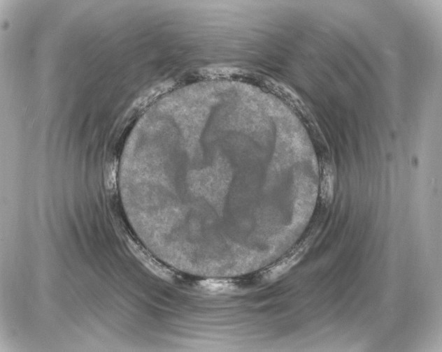 X0000085320477200704092353