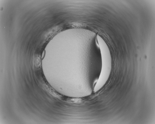 X0000085320478200704092353