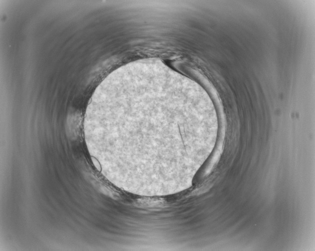 X0000085320480200704092353