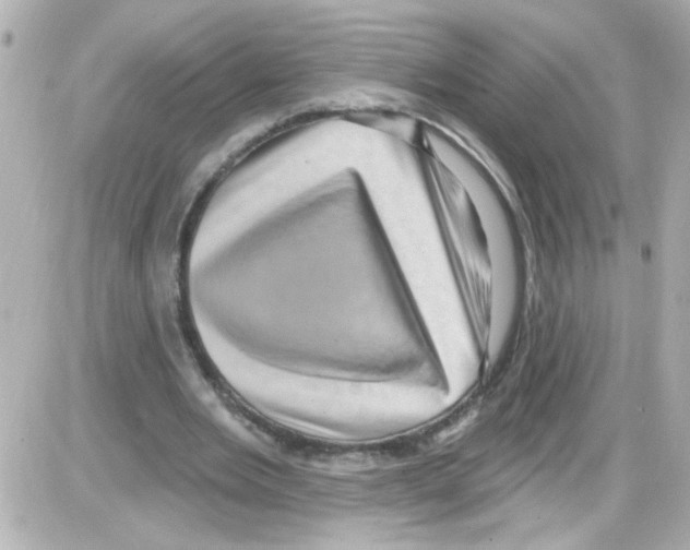 X0000085320485200704092352