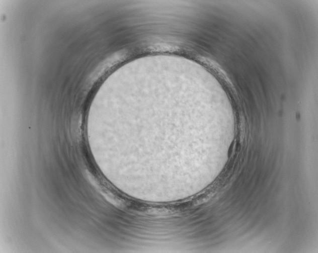 X0000085320490200704092352