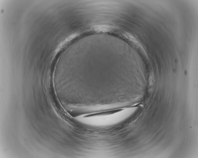 X0000085320492200704092352