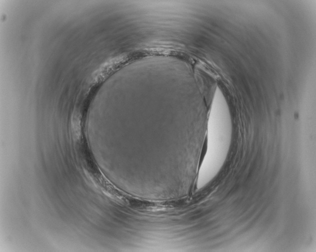 X0000085320504200704092352