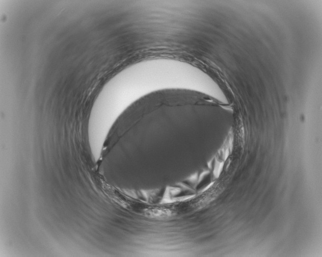 X0000085320512200704092352