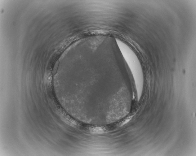 X0000085320513200704092352