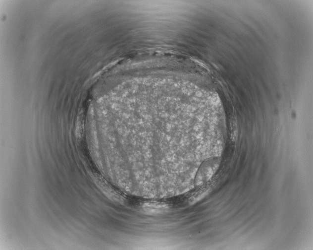 X0000085320515200704092352