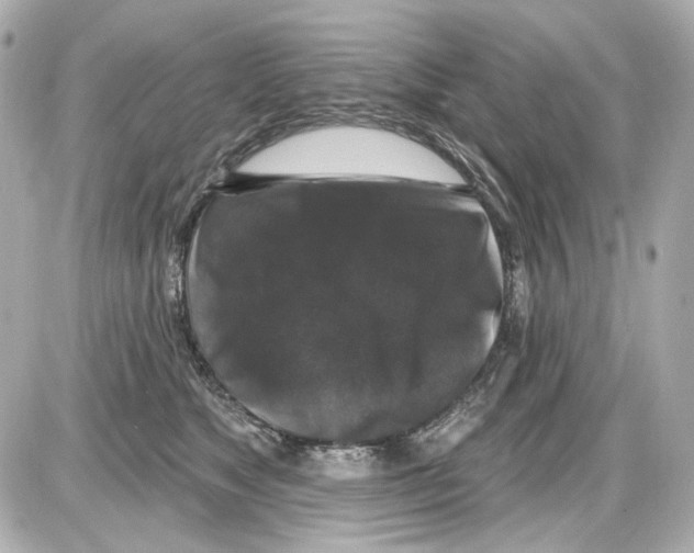 X0000085320517200704092352