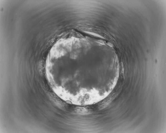 X0000085320519200704092352