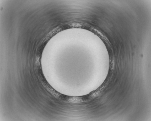 X0000085320521200704092352