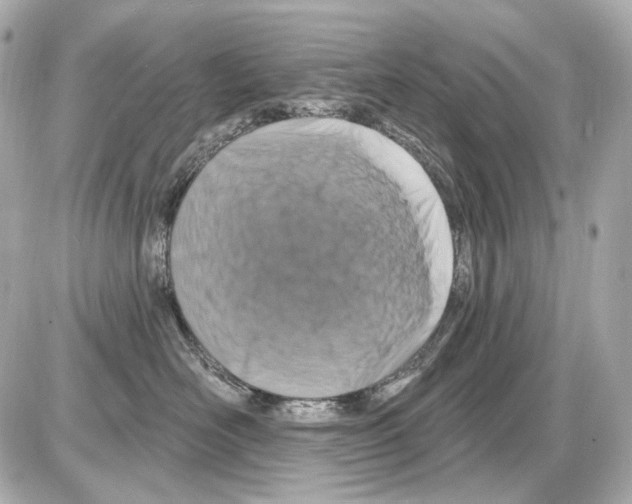 X0000085320526200704092352