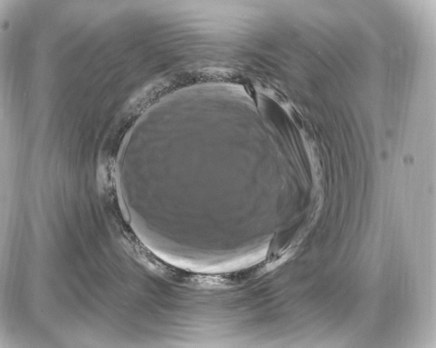 X0000085320528200704092352
