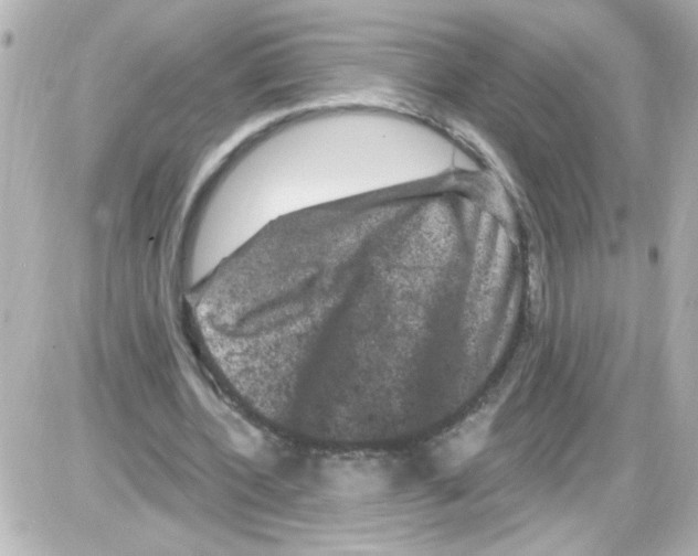 X0000085320532200704092351