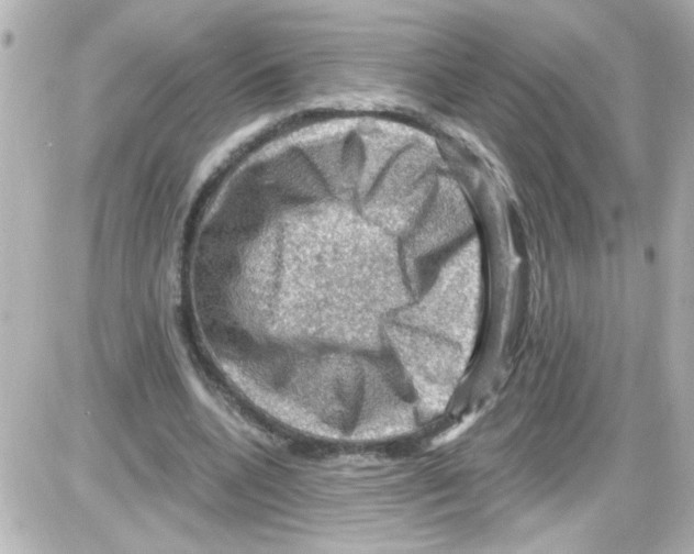 X0000085320536200704092351